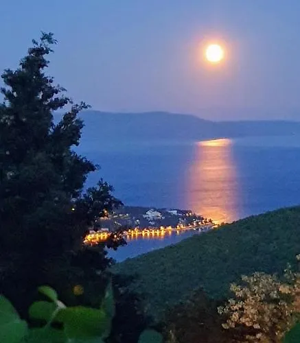 Dee's House And Pool 펜션